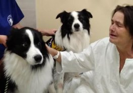 Canisterapie působí na pacienty LDN blahodárně