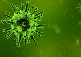 Na vitamínu D stojí celý náš imunitní systém, měli bychom kontrolovat jeho hladinu