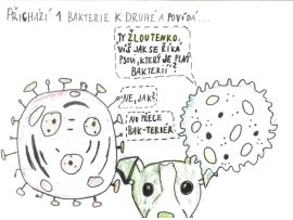 3. kategorie - 1. místo Maxim Vodák, Gymnázium Holice