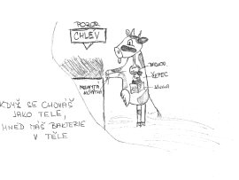 4. kategorie - 2. místo Bc. Zuzana Dočekalová, ARO LIN