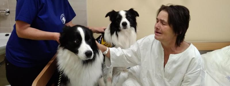 Canisterapie působí na pacienty LDN blahodárně