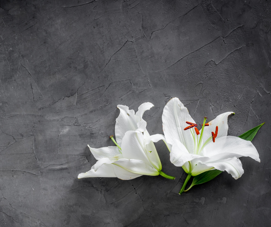 Vzpomínka na MUDr. Hanu Šmákalovou